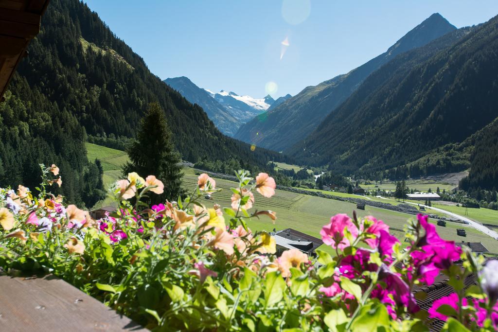 Haus Mary Lägenhet Neustift im Stubaital Exteriör bild